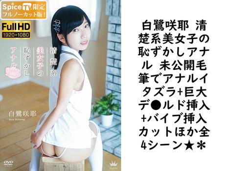 白鷺咲耶 清楚系美女子の恥ずかしアナル 未公開毛筆でアナルイタズラ+巨大デ●ルド挿入+バイブ挿入カットほか全4シーン★＊【グラビアアイドル無料動画】