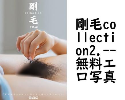 剛毛collection2.【無料エロ写真集】