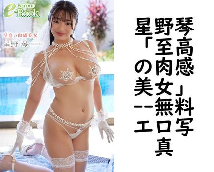 星野琴「至高の肉感美女」【Bamboo e-Book】