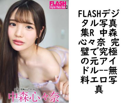 FLASHデジタル写真集R 中森心々奈 完璧で究極の元アイドル（高橋慶佑）