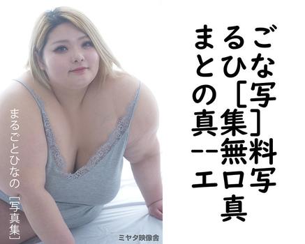 まるごとひなの［写真集］（砂肝三本）